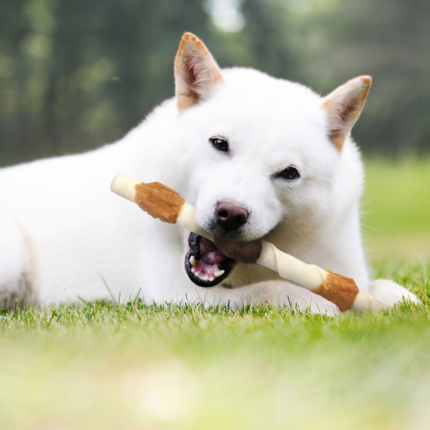 Triple Flavored X-Large Shish Kabob Dog Treats, 10-Count, 2-Pack