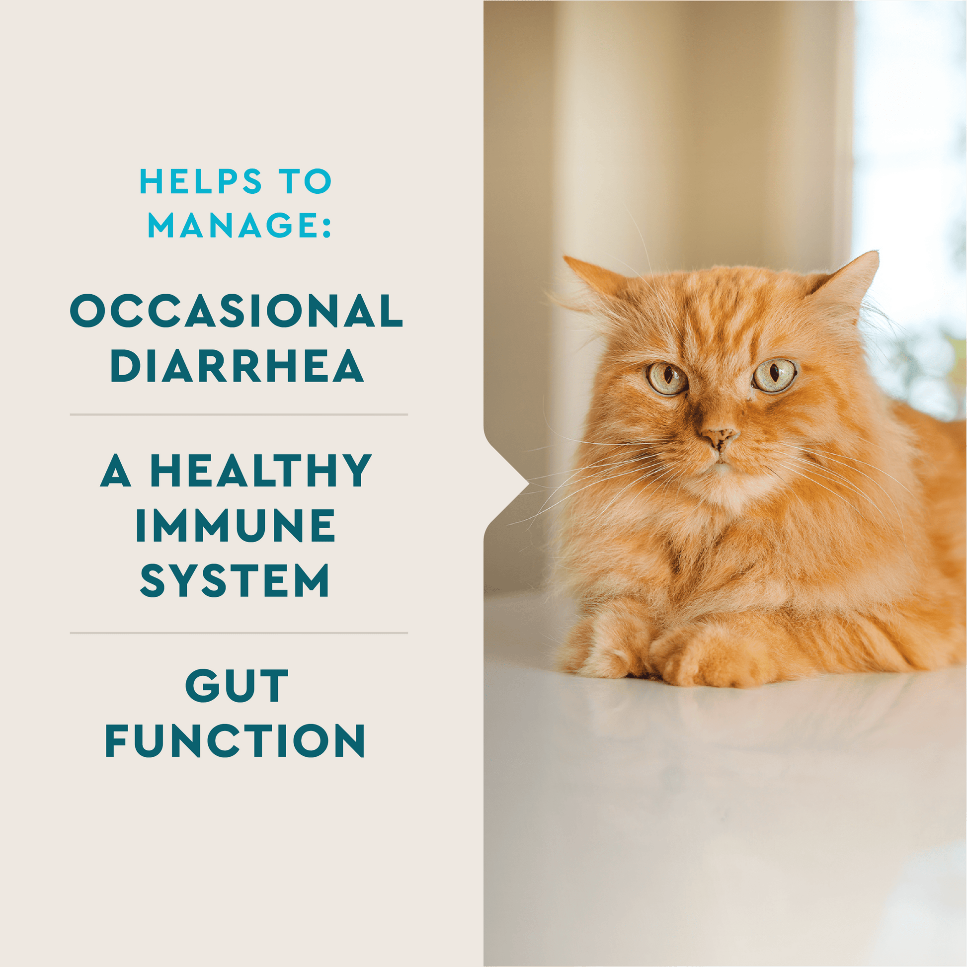 Probiotic Cat Powder Supplement for Digestive Health, 30 Packets