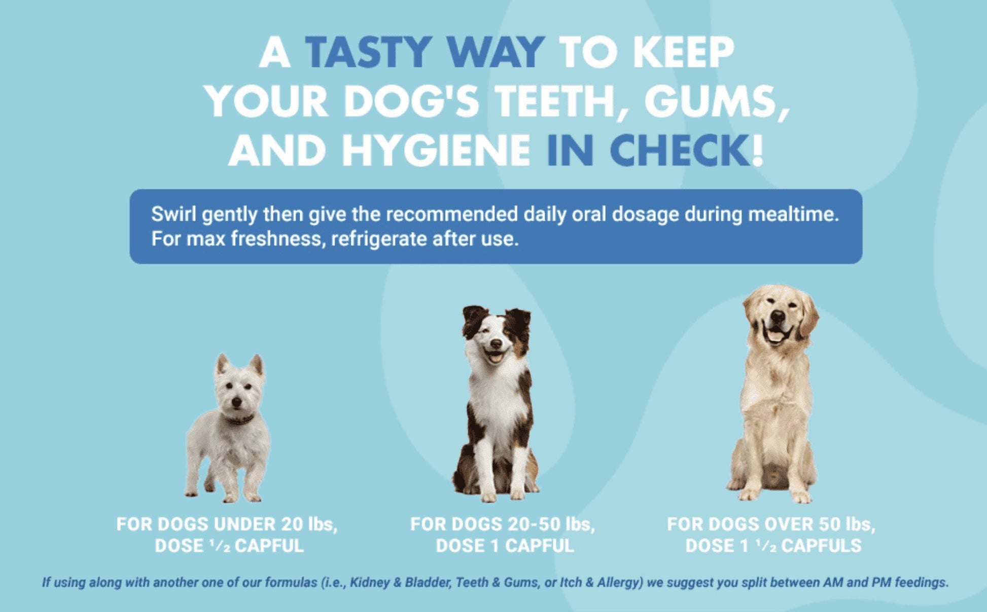 Teeth Gums Tartar Breath Oral Dental Health Supplement for Dogs, Bacon, 16 Oz.