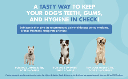 Teeth Gums Tartar Breath Oral Dental Health Supplement for Dogs, Bacon, 16 Oz.