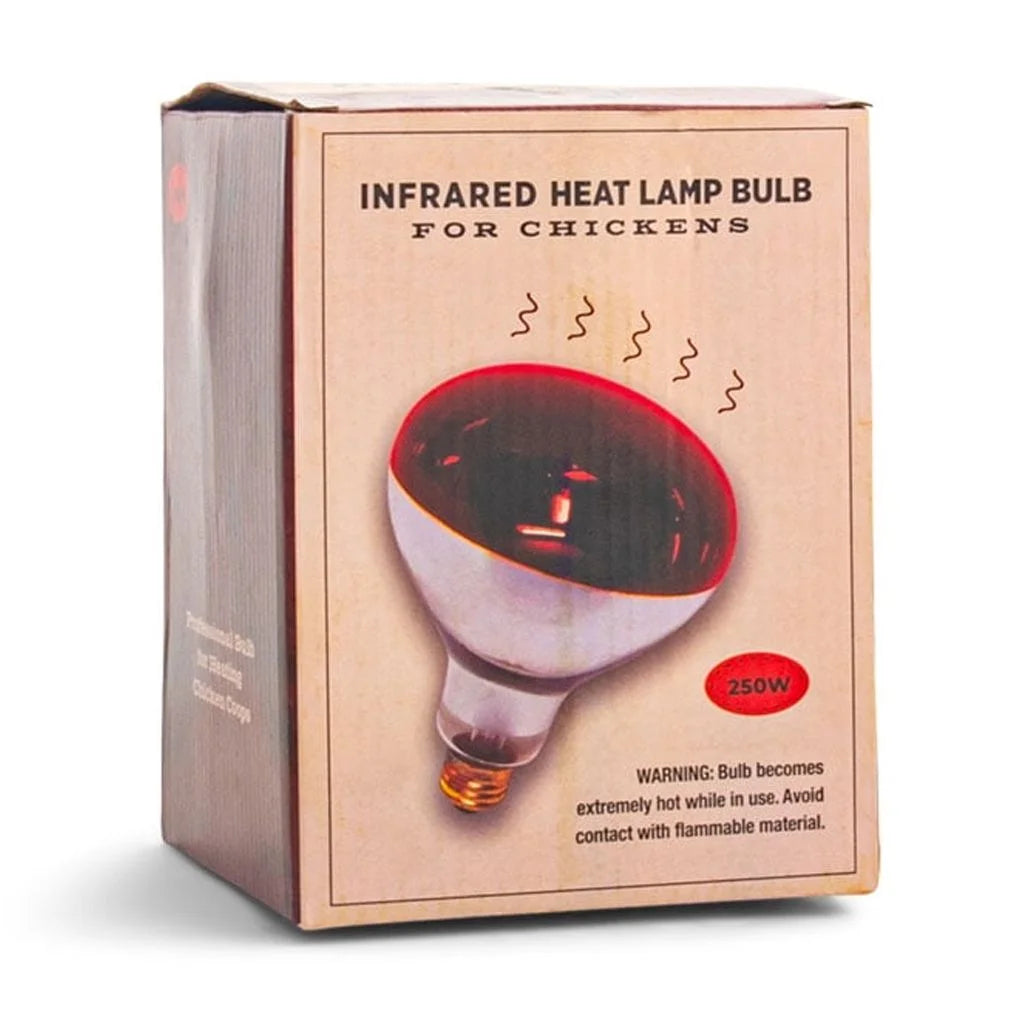 (2 Pack)  Culinary Coop Infrared Heat Lamp Glass Bulb 250 Watt