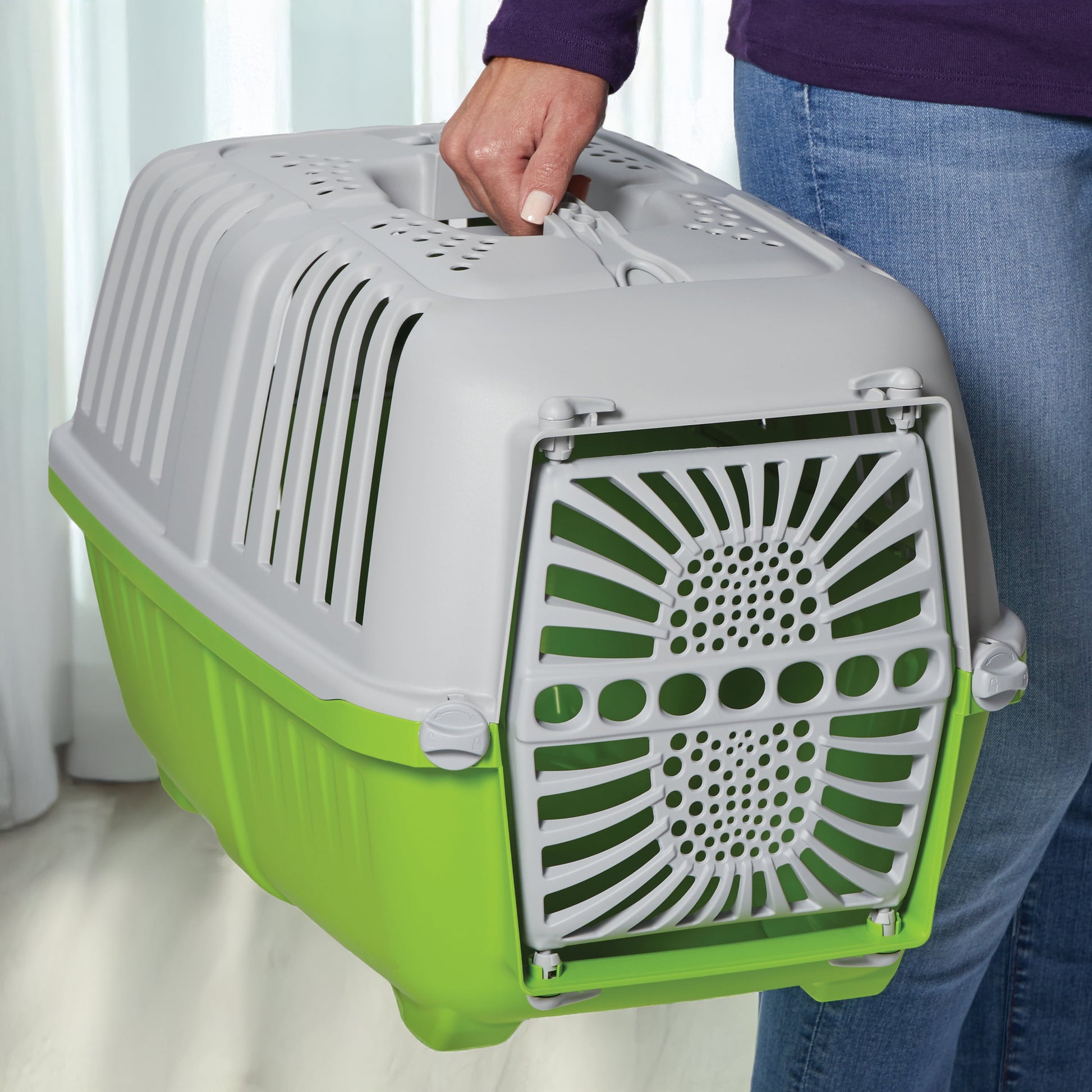 19 Inch Spree Travel Pet Carrier for Dog or Cat with Plastic Door, Green