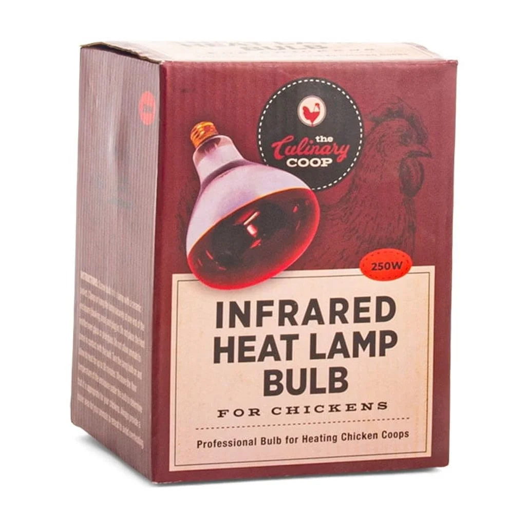 (2 Pack)  Culinary Coop Infrared Heat Lamp Glass Bulb 250 Watt