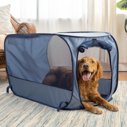 Soft-Sided Pop Open Dog Kennel, Blue, Large