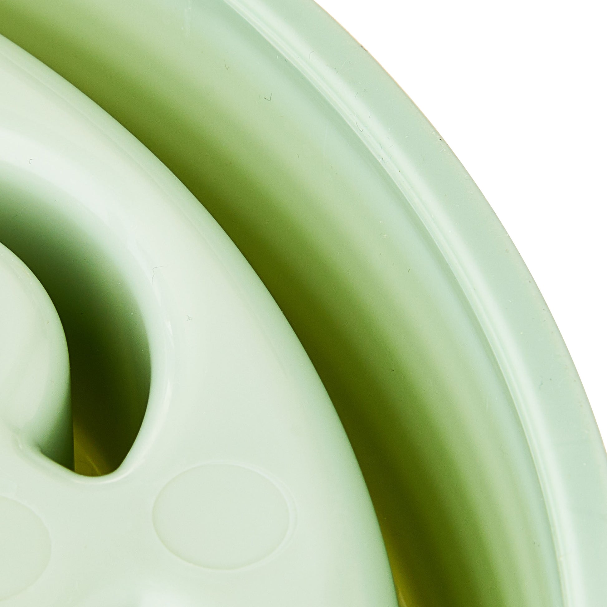 (4 Pack)  Slow Chow Dog Bowl, Green Medallion