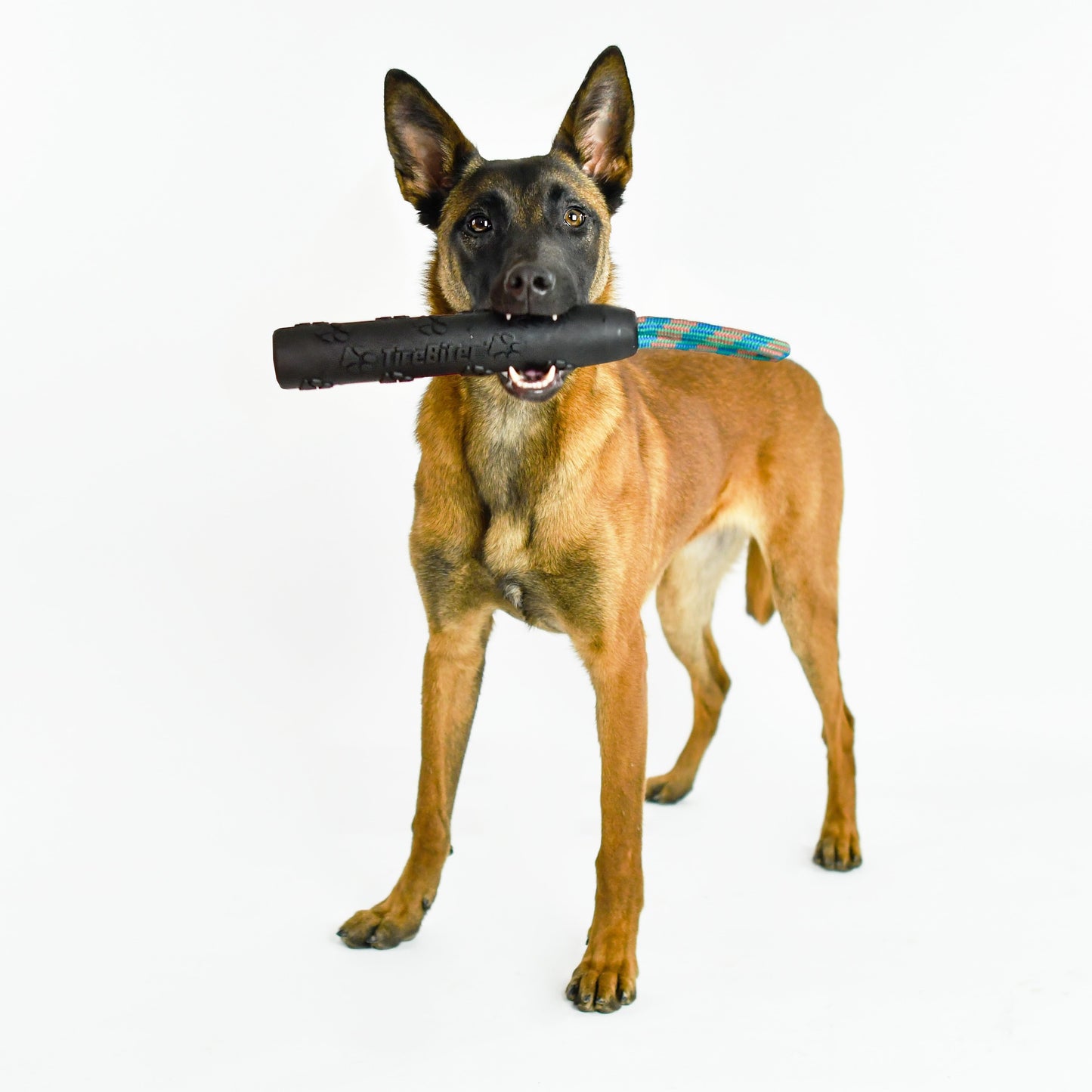 Tirebiter Advanced Retriever Rubber Dog Toy W/Cottonblend Asst Color Loop Rope Handle, 11"