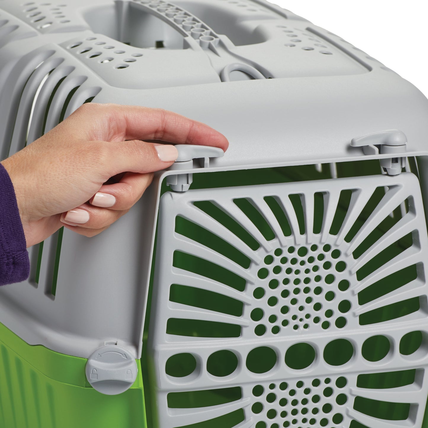 19 Inch Spree Travel Pet Carrier for Dog or Cat with Plastic Door, Green