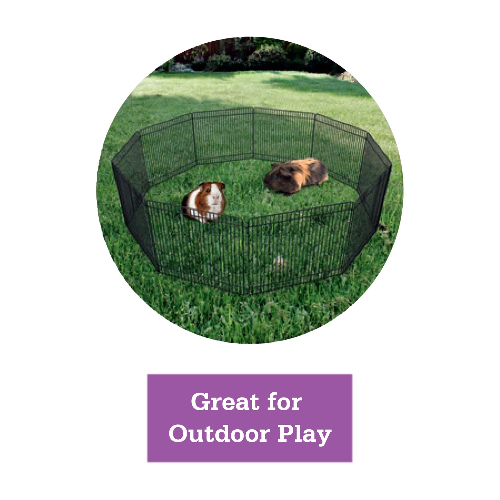 (3 Pack)  Portable Steel Wire Play Pen for Small Pets, Customizable, 10 Panels, Indoor & Outdoor Use, 9" Tall