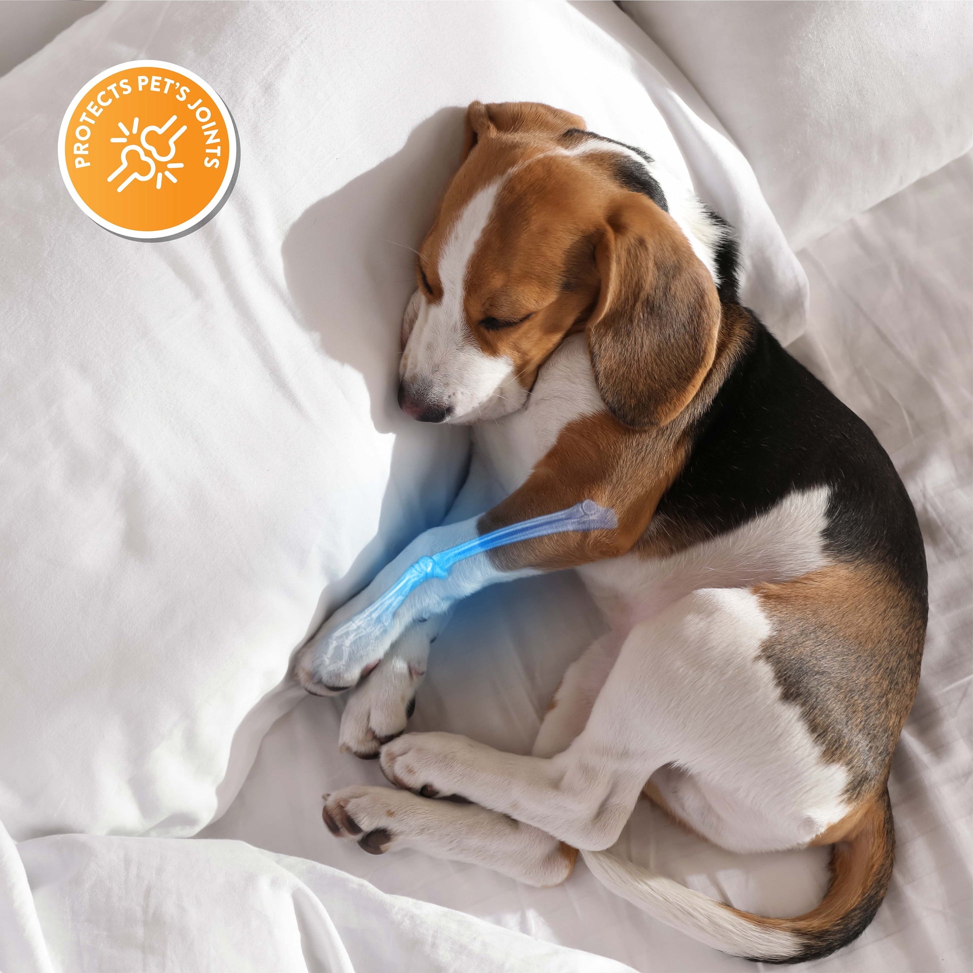 Tail Waggers Dog Stairs Flexi-Step, Foldable Dog Steps with 4-Step Design and Non-Slip Treads, Medium