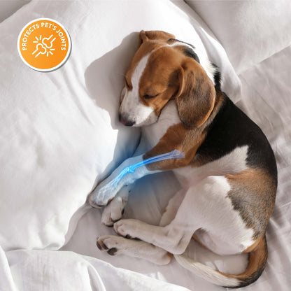 Tail Waggers Dog Stairs Flexi-Step, Foldable Dog Steps with 4-Step Design and Non-Slip Treads, Medium