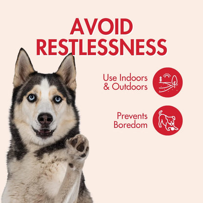 SKINNEEEZ SQUIRREL 24" (Pack of 1)