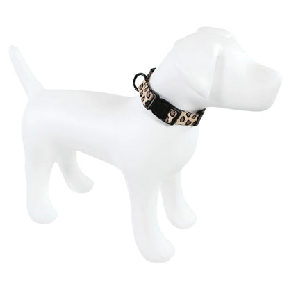 Unisex Pet Collar, Leopard, Large