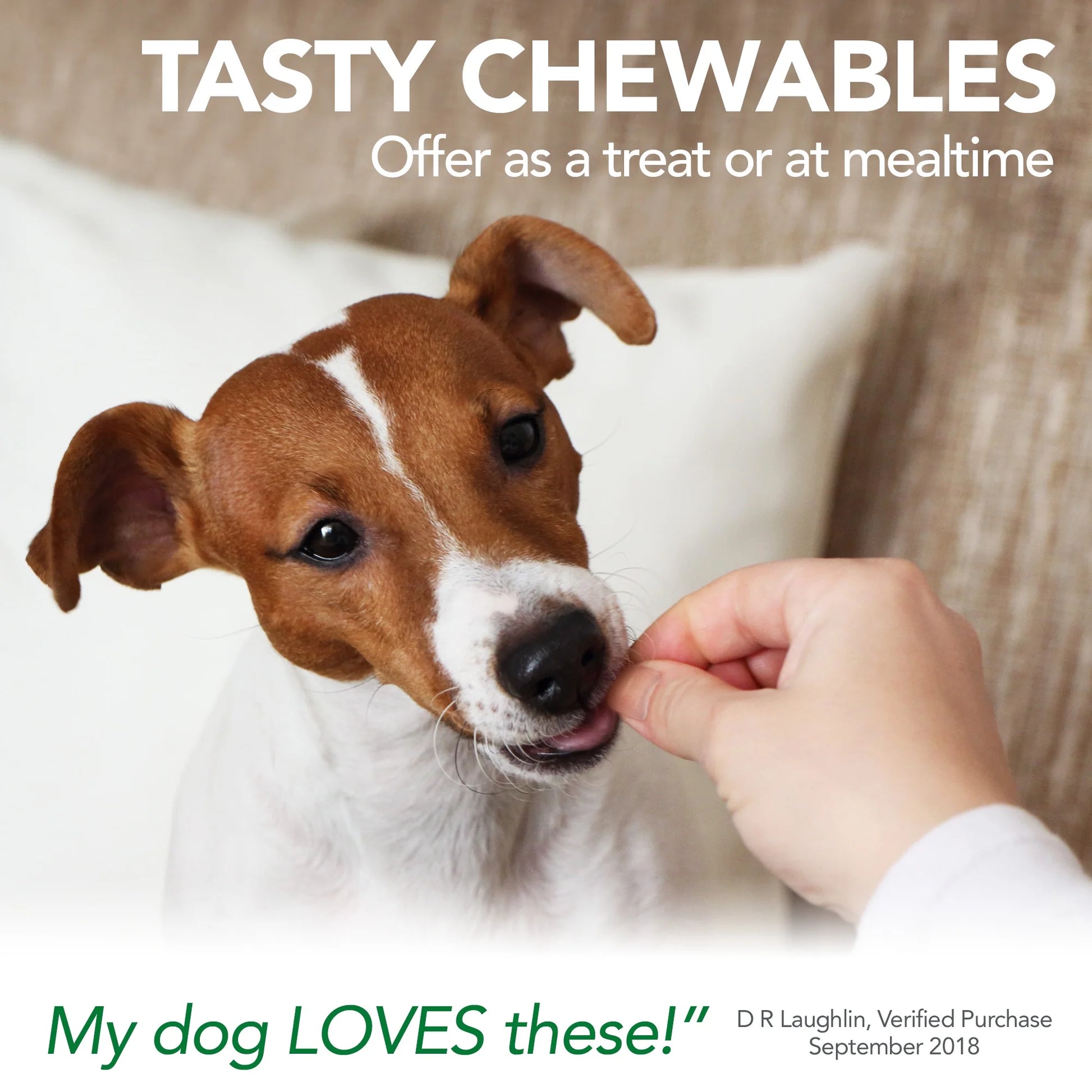 Vet’S Best Aches & Pains Relief Supplements for Dogs - 8Oz. - 150 Chewable Tablets