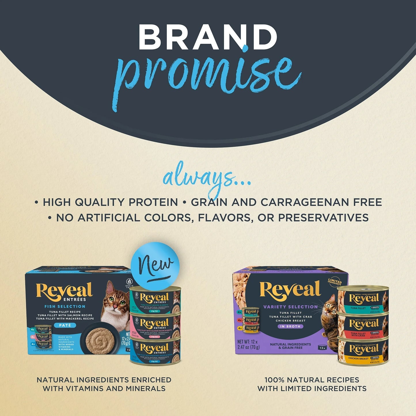 Wet Kitten Food, Tuna Fillet in Broth, 12 Pack of 2.47Oz Cans