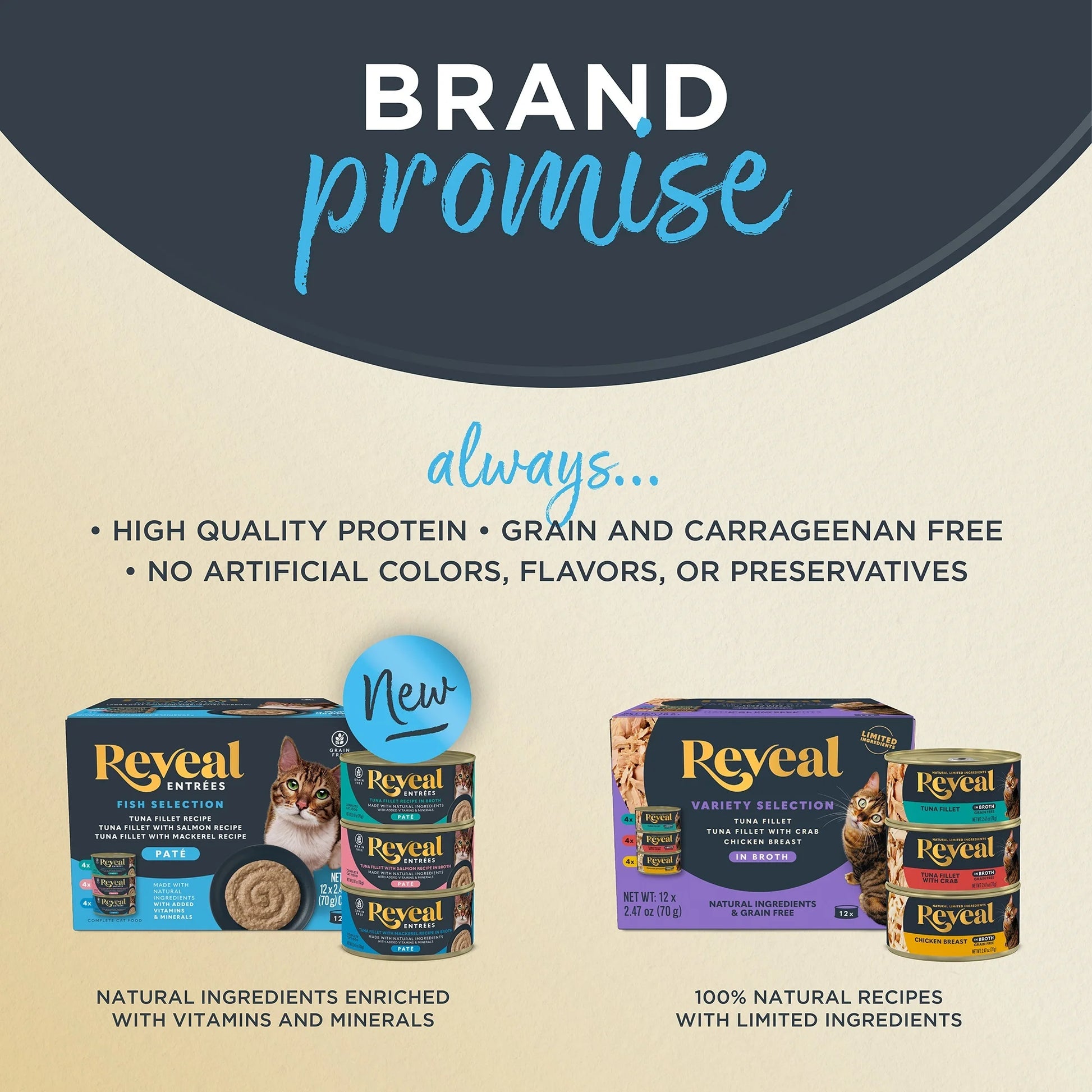 Wet Kitten Food, Tuna Fillet in Broth, 12 Pack of 2.47Oz Cans