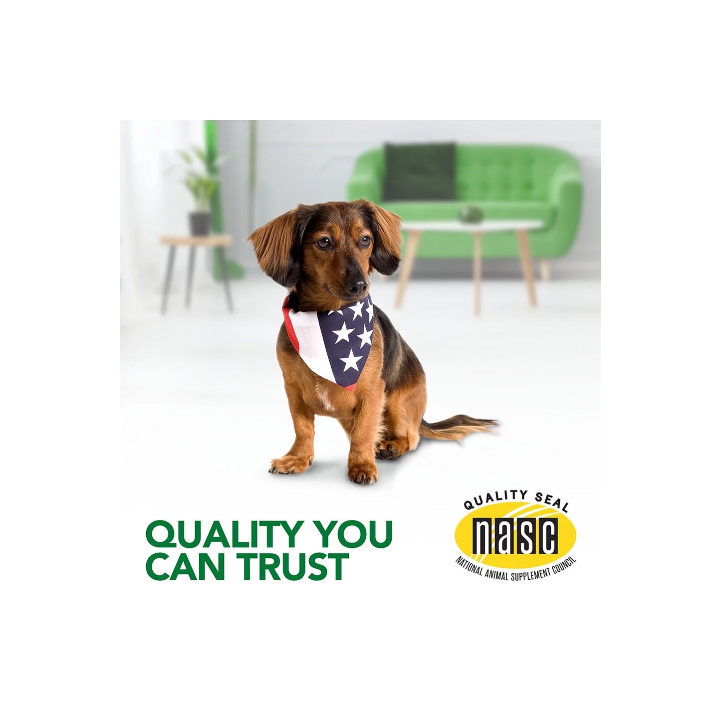 Vet’S Best Aches & Pains Relief Supplements for Dogs - 8Oz. - 150 Chewable Tablets