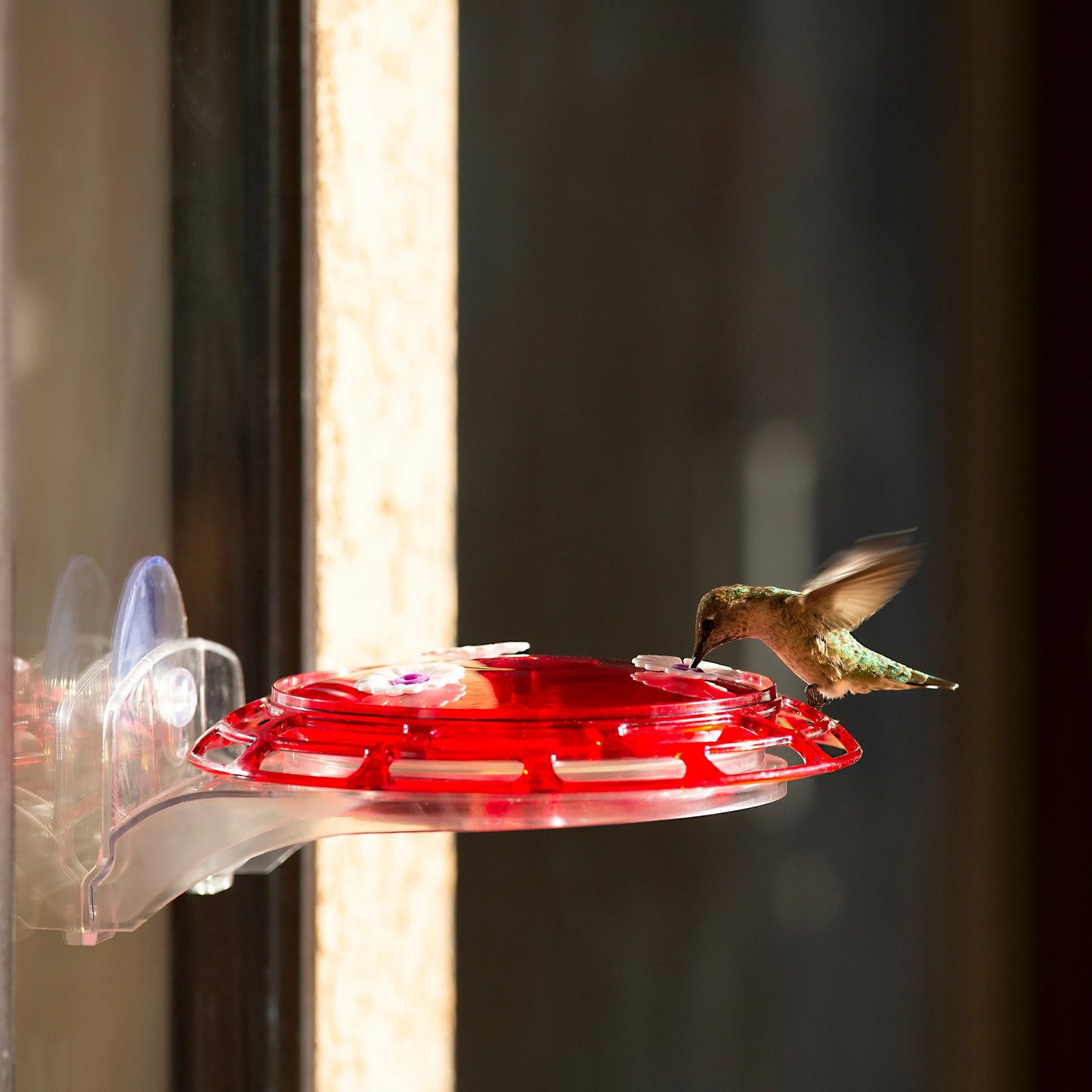 3-In-1 Hummingbird Feeder, 6 Oz Hummingbird Nectar, Red