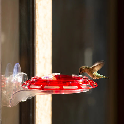 3-In-1 Hummingbird Feeder, 6 Oz Hummingbird Nectar, Red