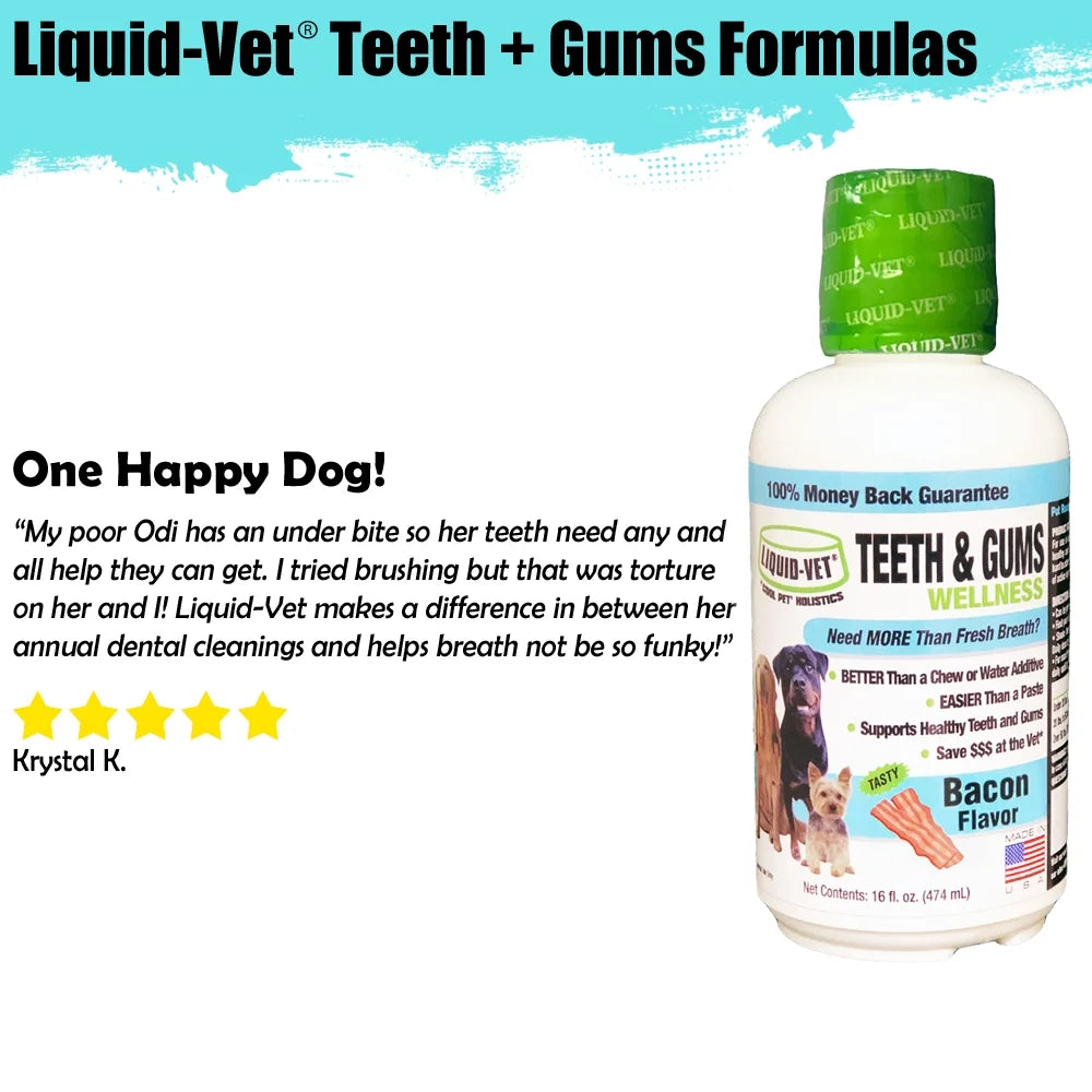 Teeth Gums Tartar Breath Oral Dental Health Supplement for Dogs, Bacon, 16 Oz.