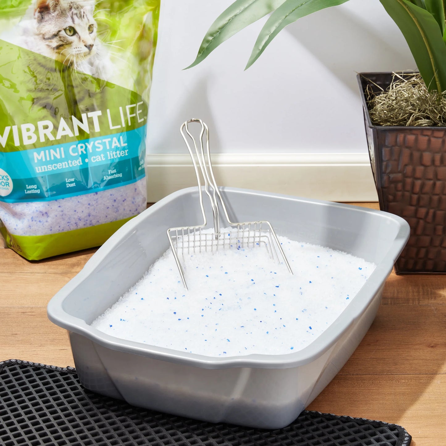 (4 Pack)  Mini Crystal Unscented Cat Litter, 8 Lb