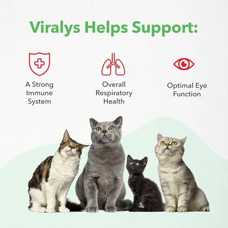 Viralys Gel L-Lysine Supplement for Cats, 5Oz - Cats & Kittens of All Ages - Immune Health - Sneezing, Runny Nose, Squinting, Watery Eyes - Palatable Maple Flavor Lysine Gel