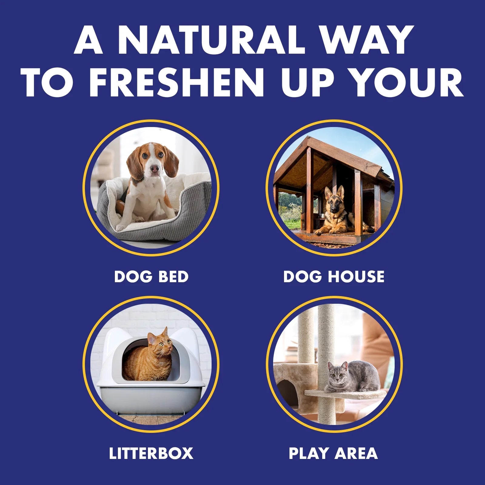 (2 Pack)  Pet Odor Air Magnet for Dogs and Cats, 14 Oz