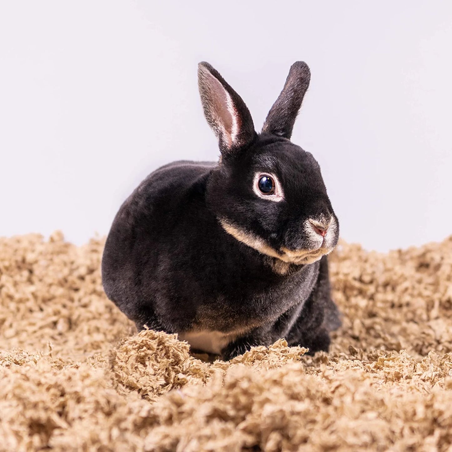 28L Natural Uber Pet Bedding for Small Animals