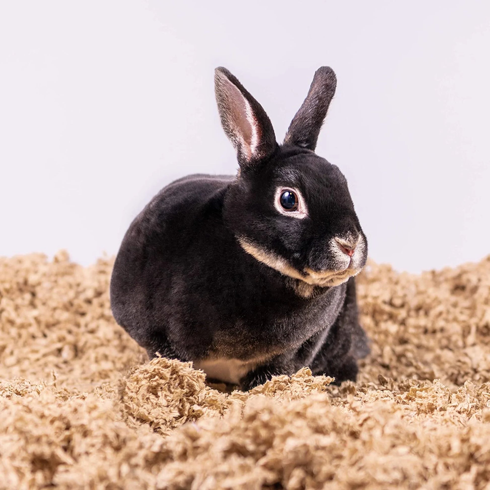 28L Natural Uber Pet Bedding for Small Animals