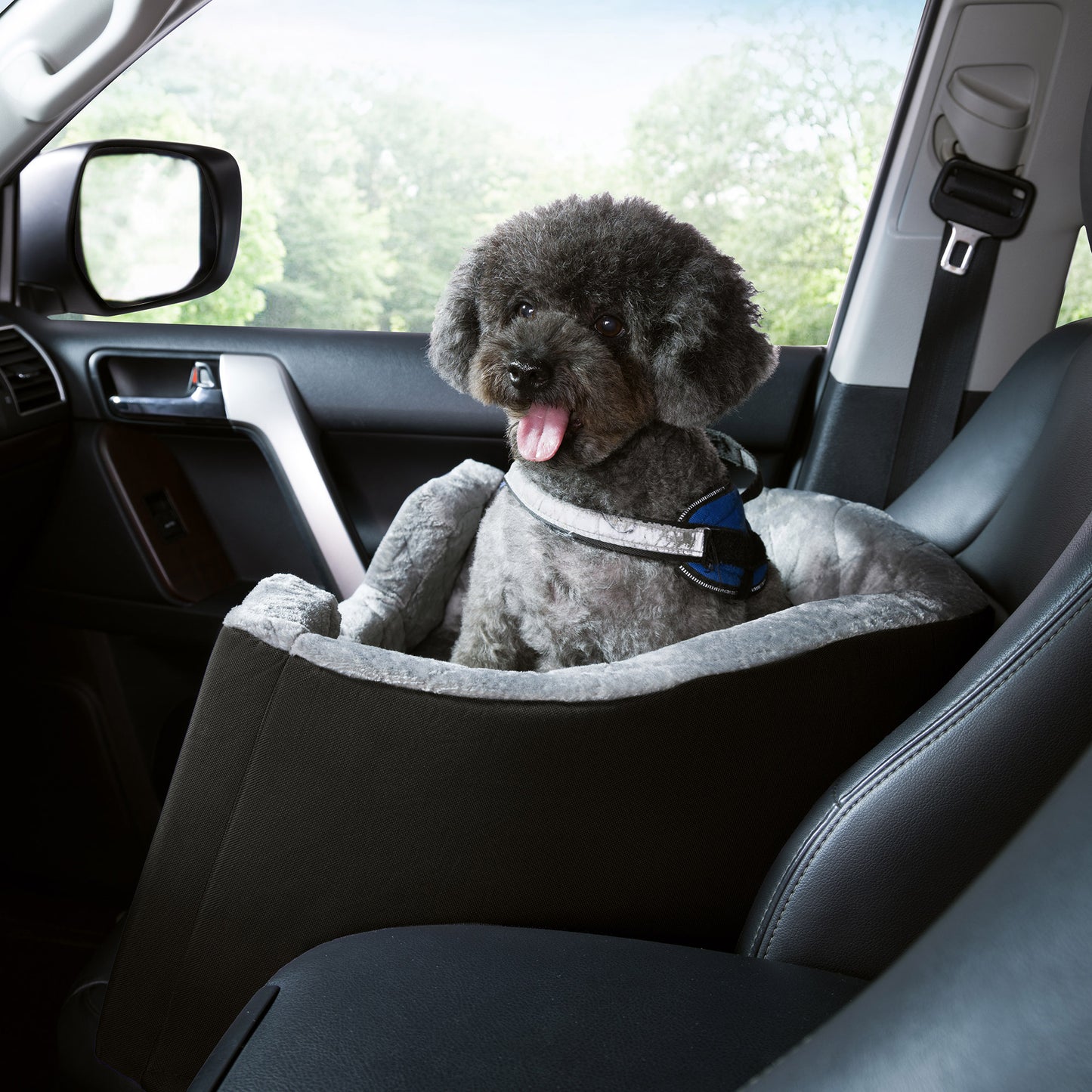 Yes Pets! by Arlee Home & Pet Booster Pet Car Seat