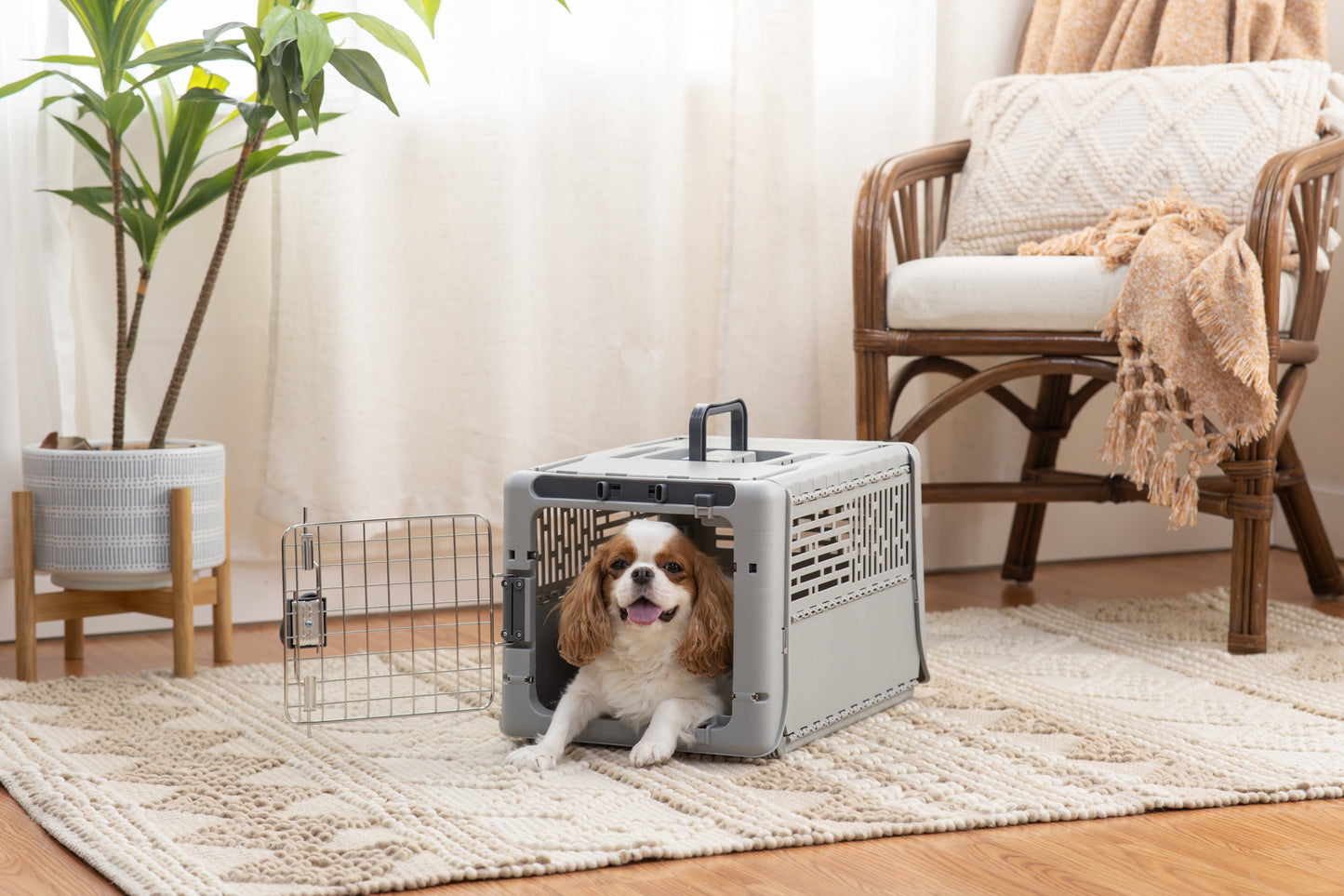 19" Collapsible Dog Kennel, Gray, XS, for Pets up to 20 Lbs