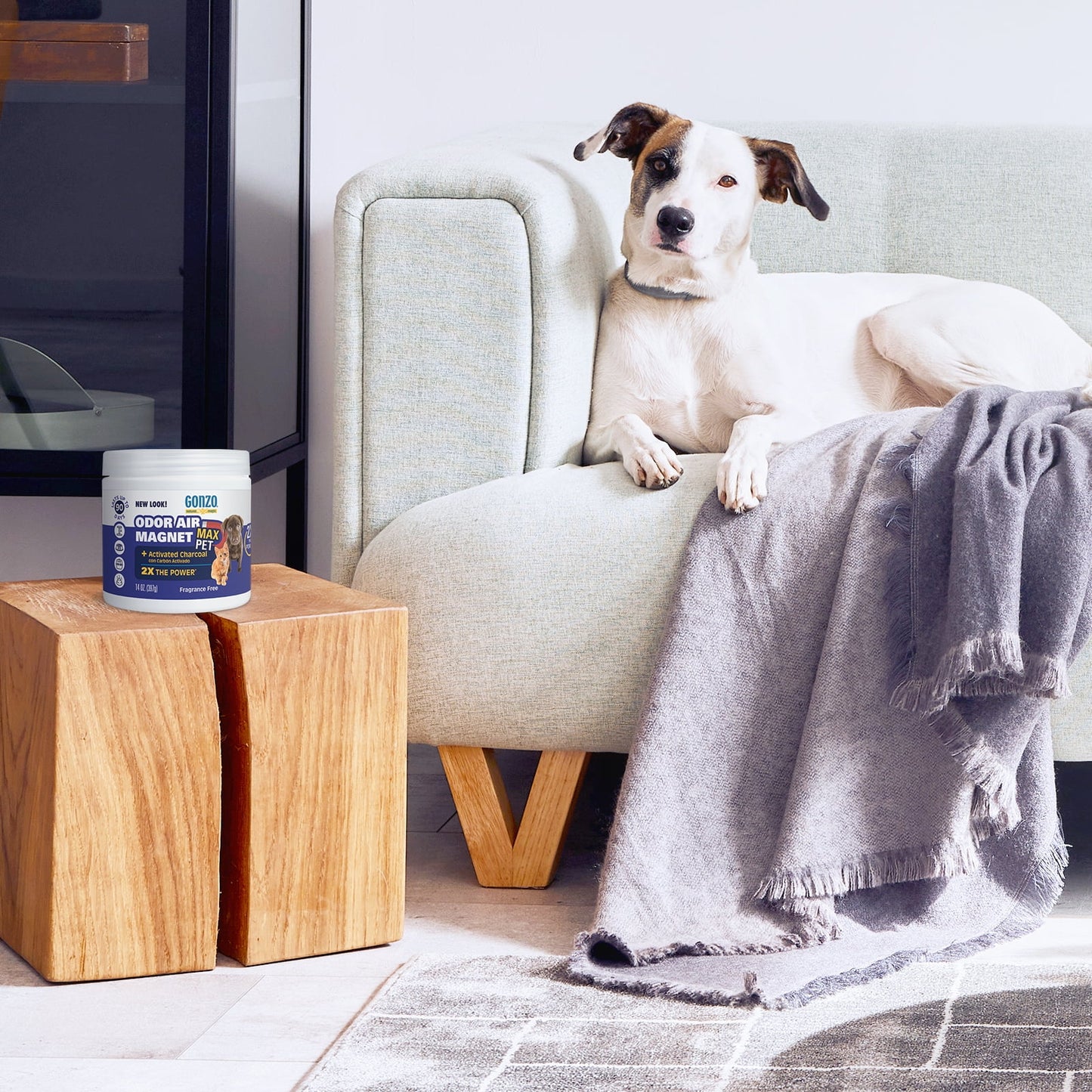 (2 Pack)  Pet Odor Air Magnet for Dogs and Cats, 14 Oz