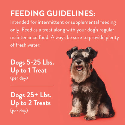 Salmon Flavor Jerky Treats for Dogs, 16 Oz