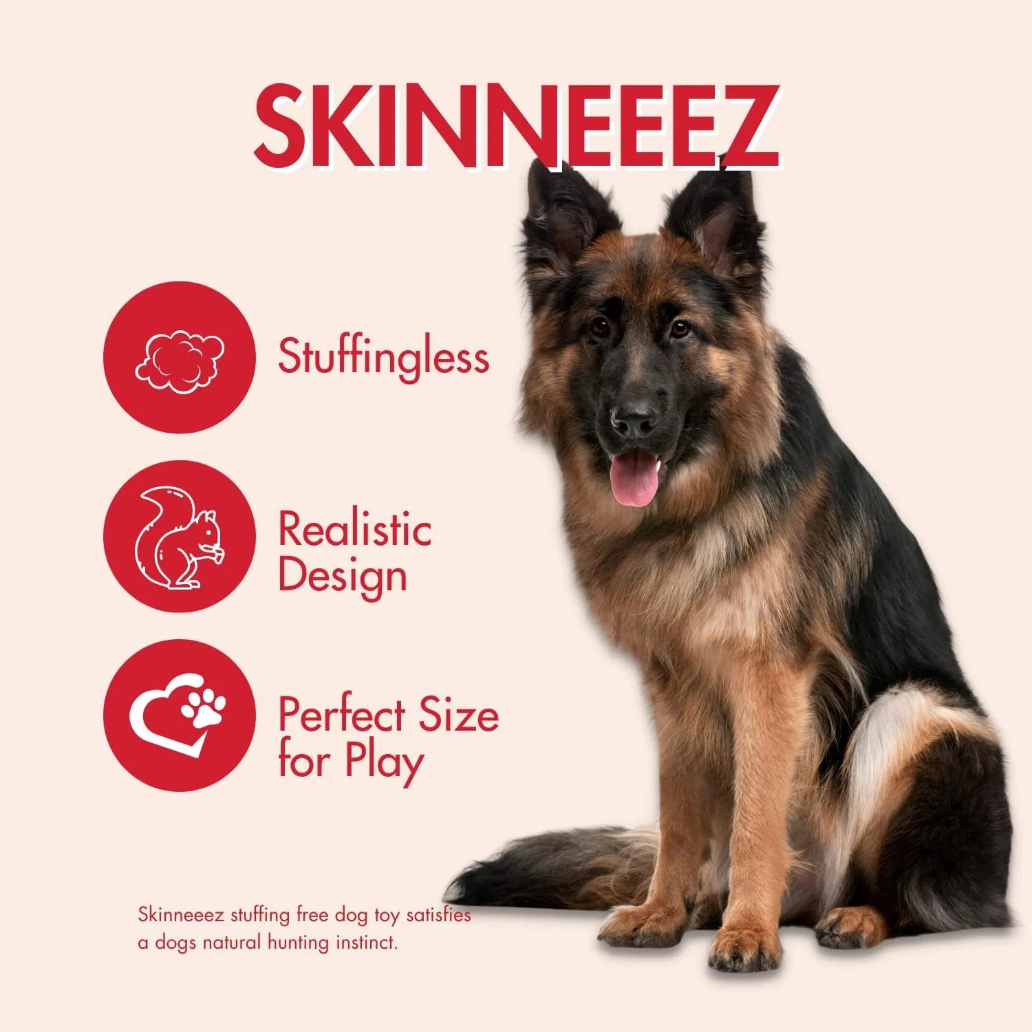 SKINNEEEZ SQUIRREL 24" (Pack of 1)