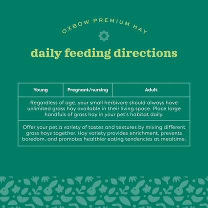 Simple Harvest Western Timothy Hay 15Oz.