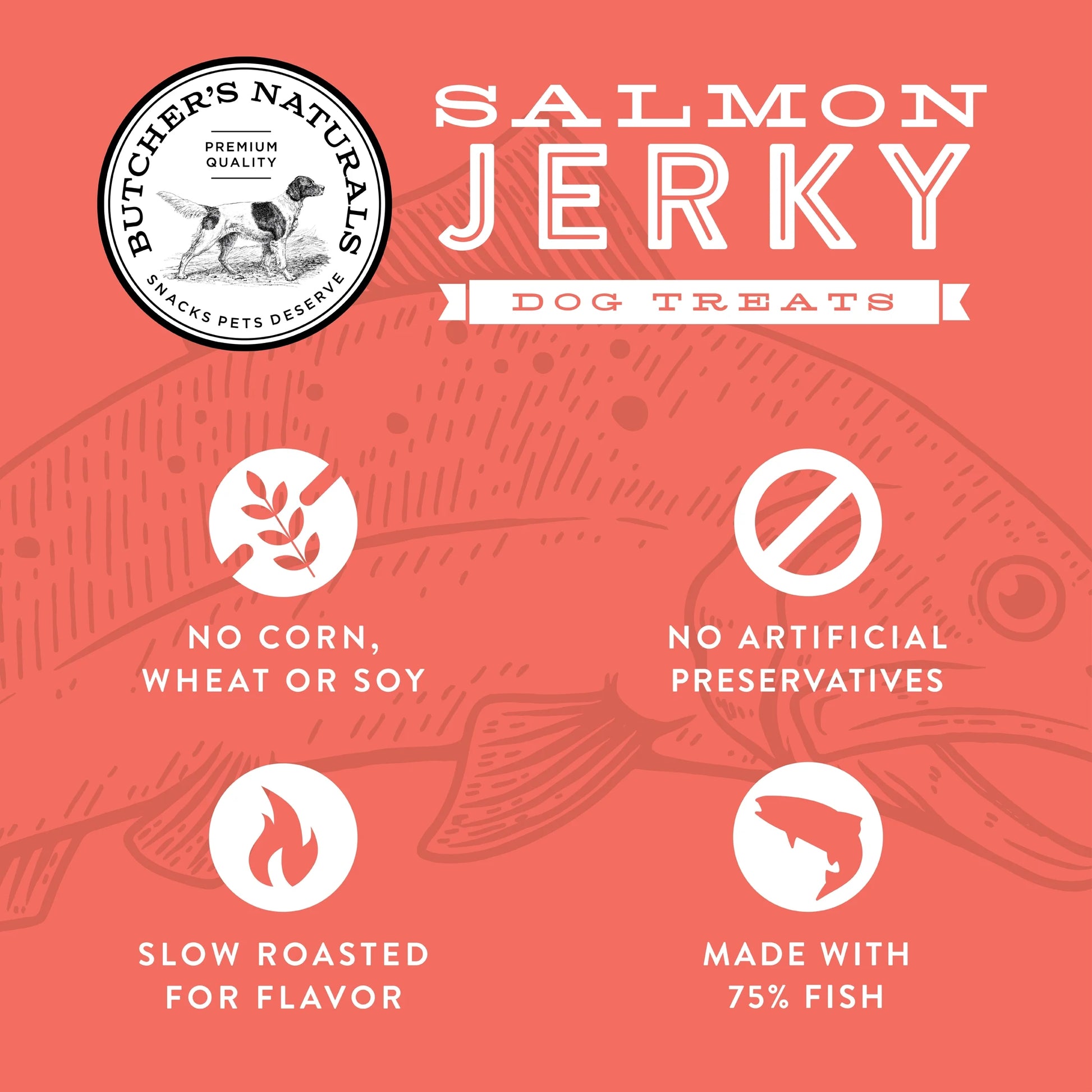 Salmon Flavor Jerky Treats for Dogs, 16 Oz
