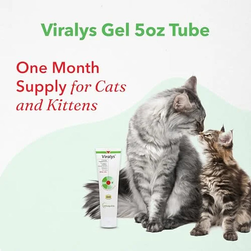 Viralys Gel L-Lysine Supplement for Cats, 5Oz - Cats & Kittens of All Ages - Immune Health - Sneezing, Runny Nose, Squinting, Watery Eyes - Palatable Maple Flavor Lysine Gel