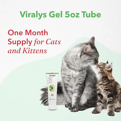 Viralys Gel L-Lysine Supplement for Cats, 5Oz - Cats & Kittens of All Ages - Immune Health - Sneezing, Runny Nose, Squinting, Watery Eyes - Palatable Maple Flavor Lysine Gel