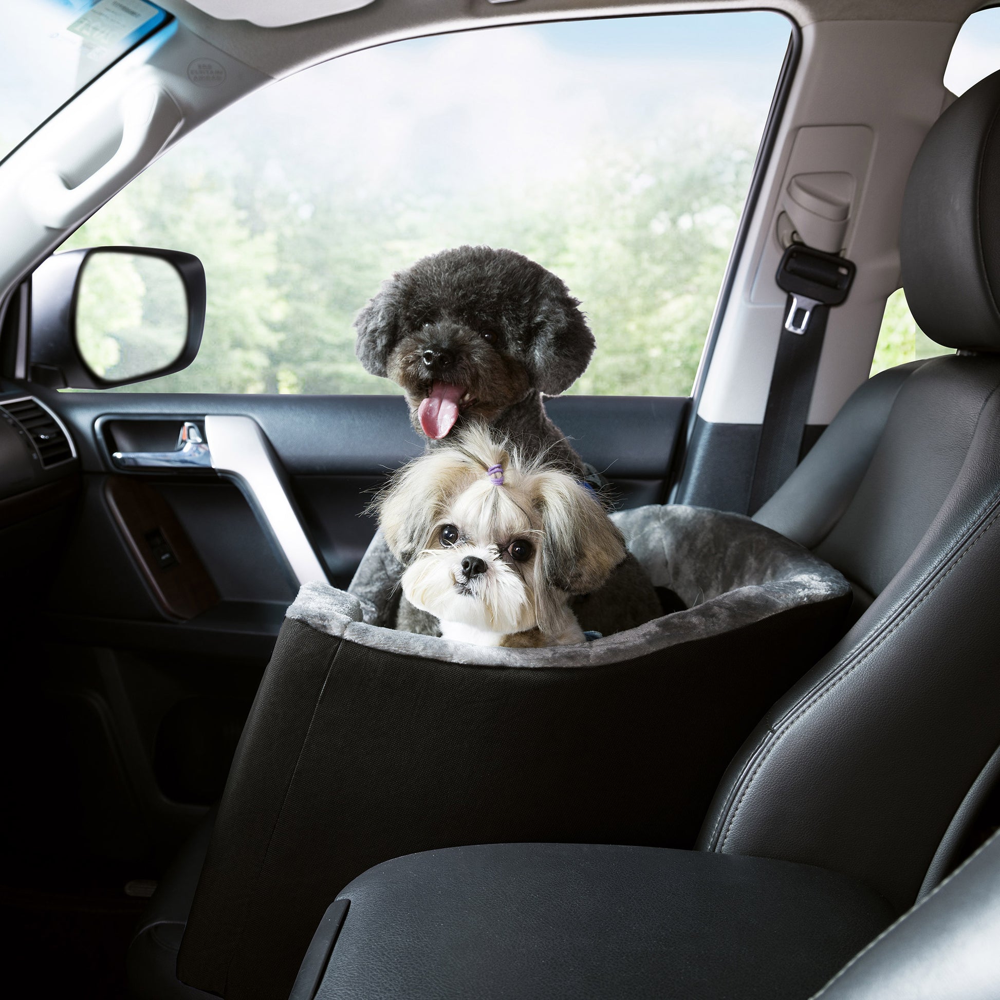 Yes Pets! by Arlee Home & Pet Booster Pet Car Seat