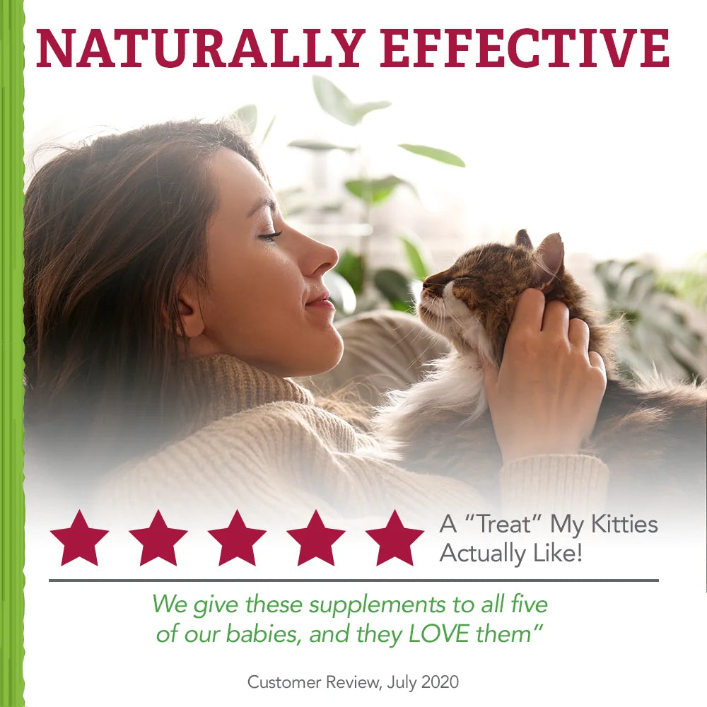 Urinary Care Supplement Soft Chews for Cats, 78 Count