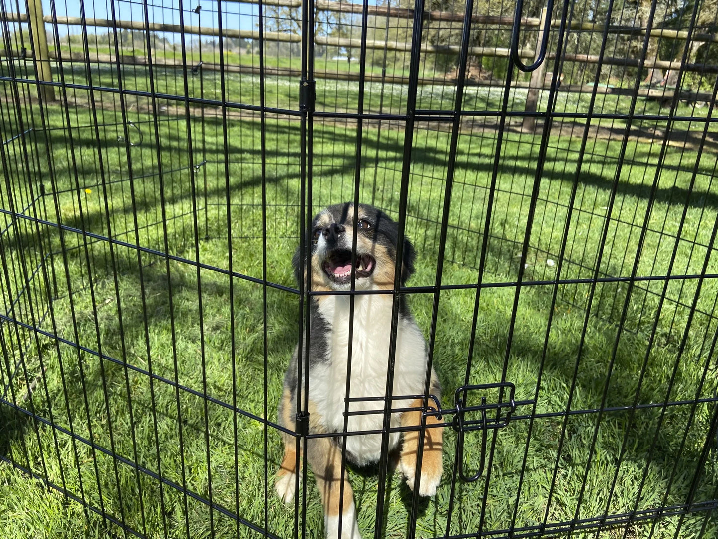 ™ 48" Dog Exercise Pen W/Stakes