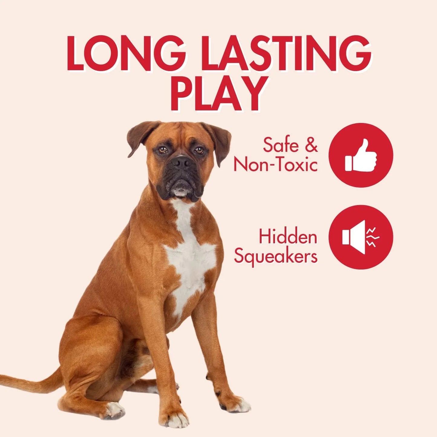 SKINNEEEZ SQUIRREL 24" (Pack of 1)