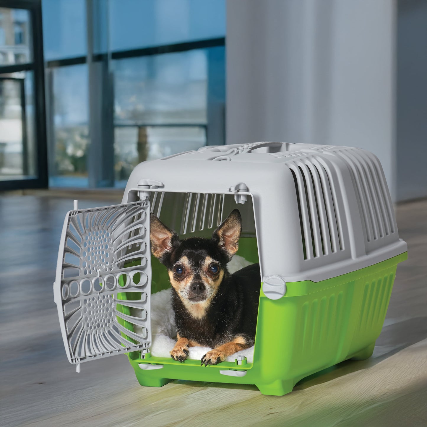 19 Inch Spree Travel Pet Carrier for Dog or Cat with Plastic Door, Green
