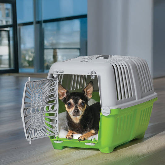 19 Inch Spree Travel Pet Carrier for Dog or Cat with Plastic Door, Green