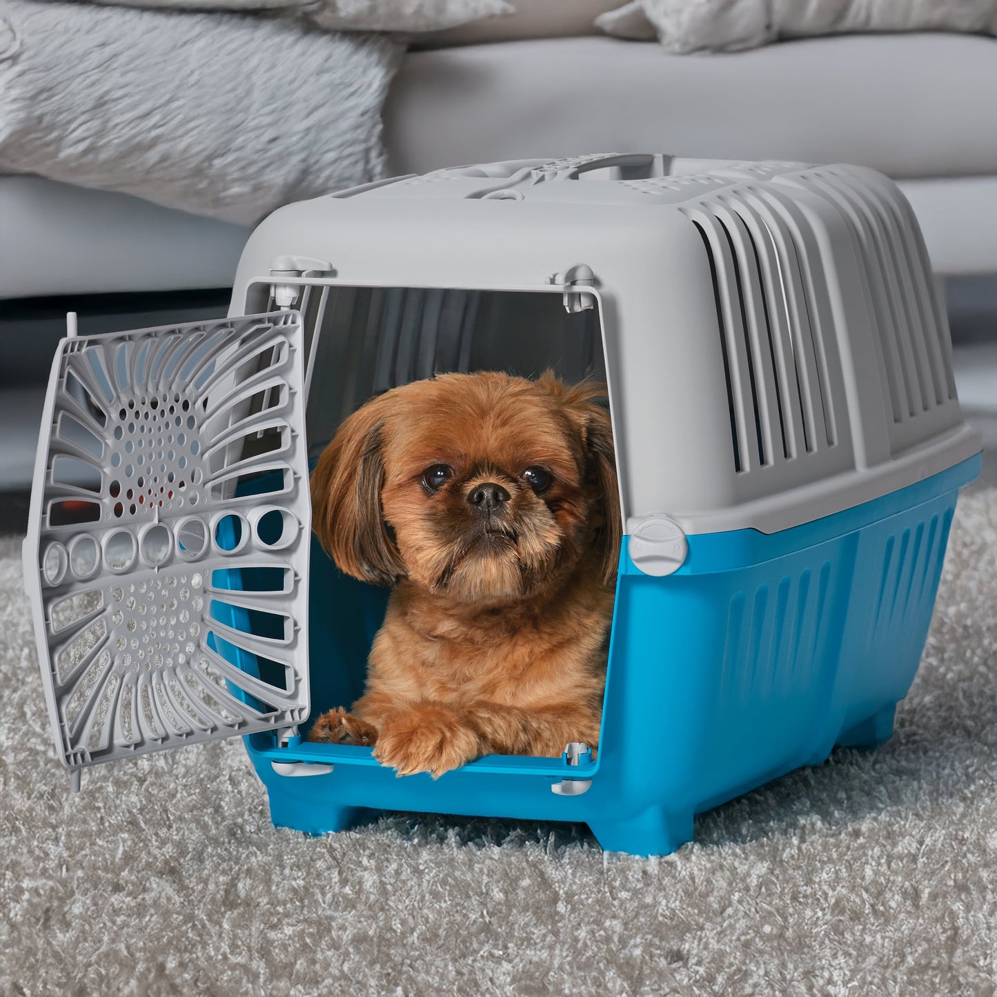 19 Inch Spree Travel Pet Carrier for Dog or Cat with Plastic Door, Green