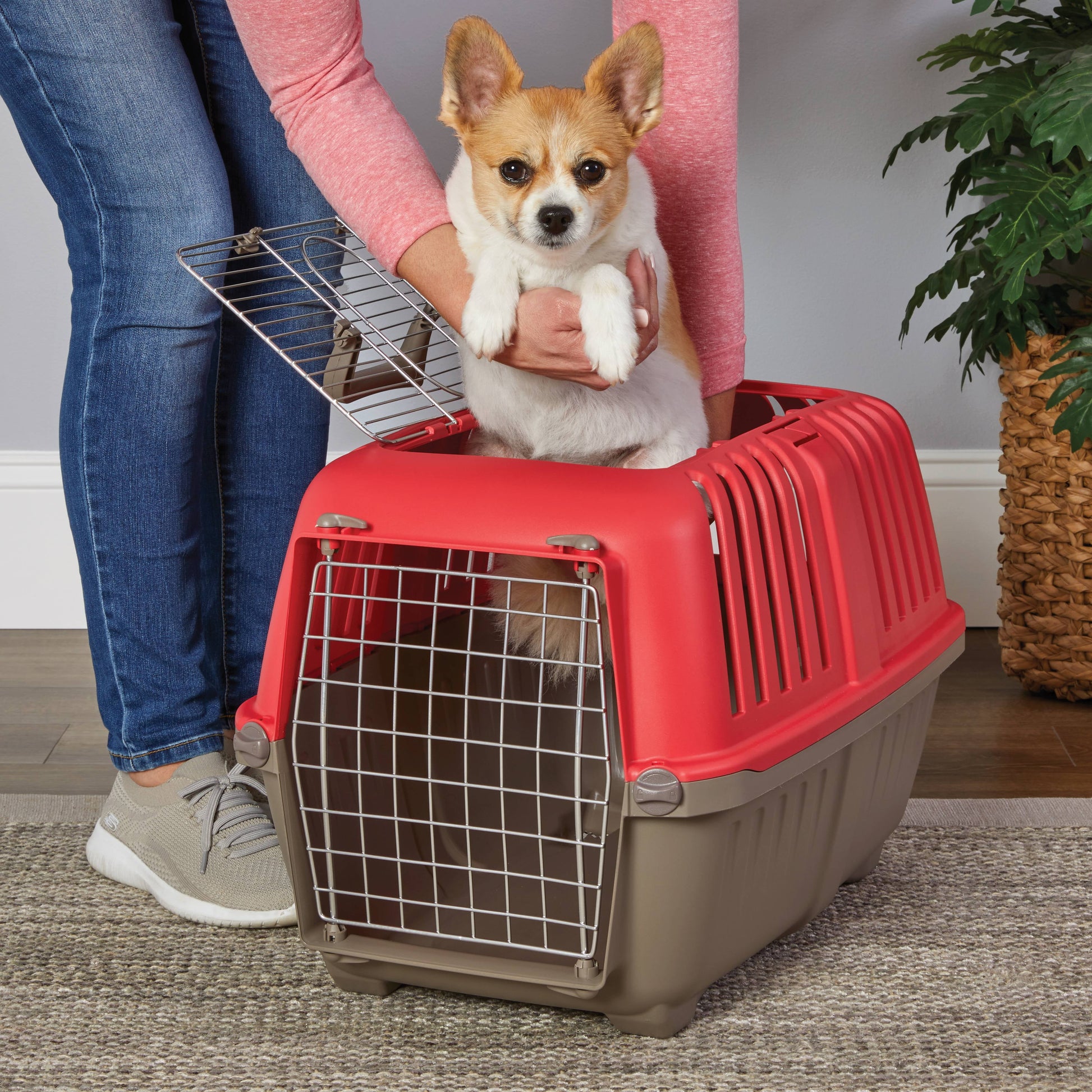 24 Inch Top Door Spree Travel Pet Carrier for Dog/Cat with Steel Door, Red