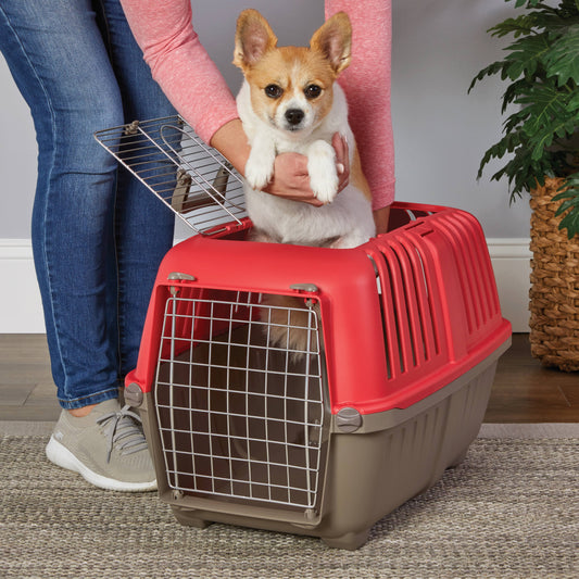 24 Inch Top Door Spree Travel Pet Carrier for Dog/Cat with Steel Door, Red