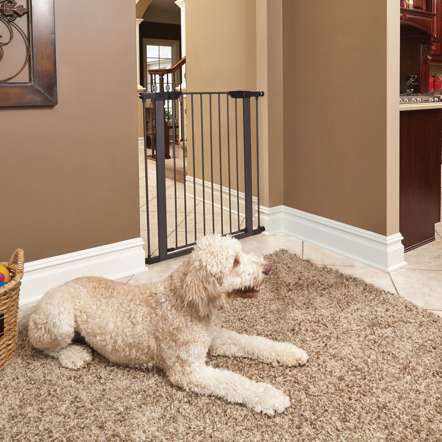 39’’ Walk-Through Dog Gate, Steel/Graphite 29''W, Expand to 38'' W/Extensions