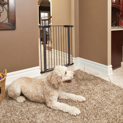 39’’ Walk-Through Dog Gate, Steel/Graphite 29''W, Expand to 38'' W/Extensions