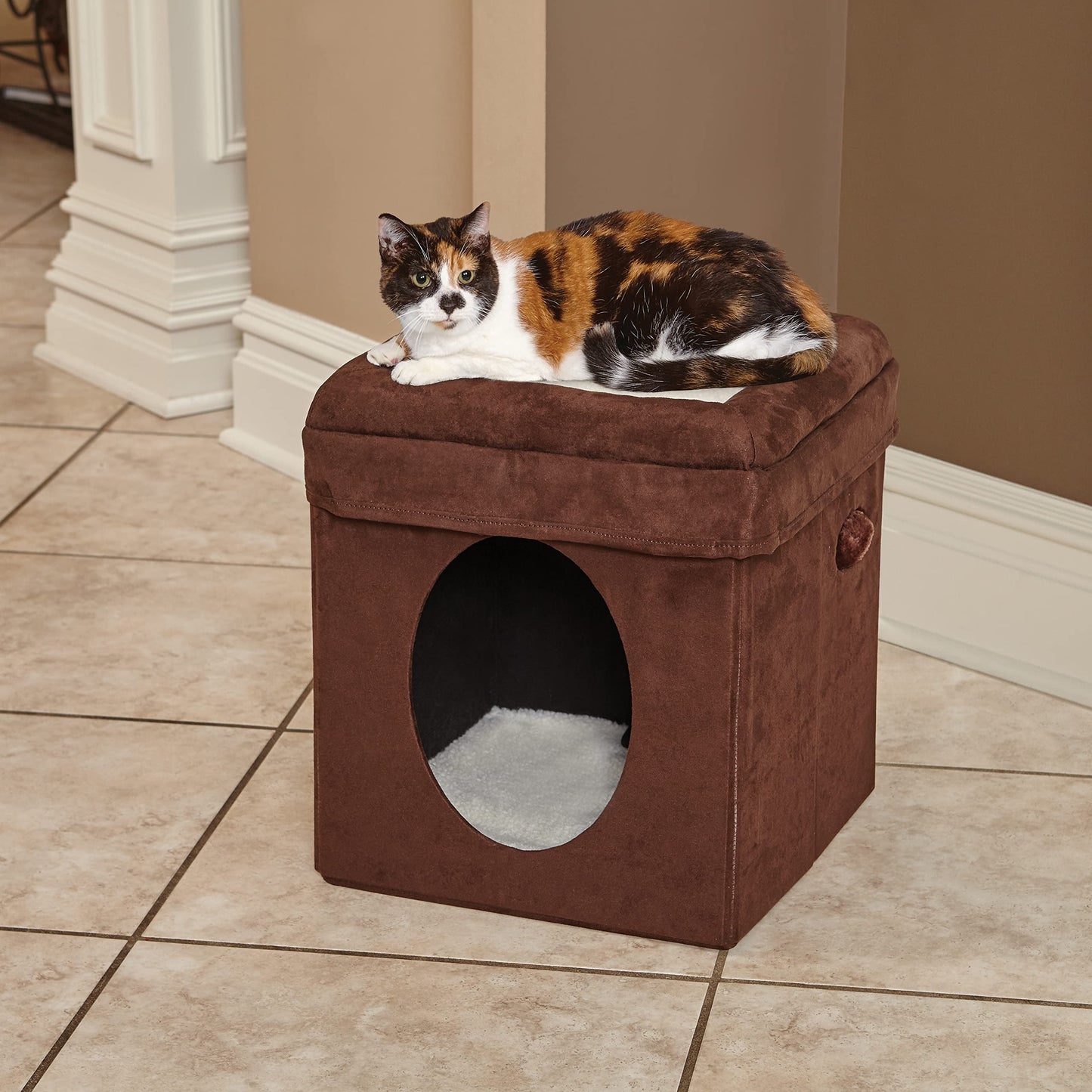 , Two Story Curious Cat Condo with Scratching Panel and Two Hideaways, Brown