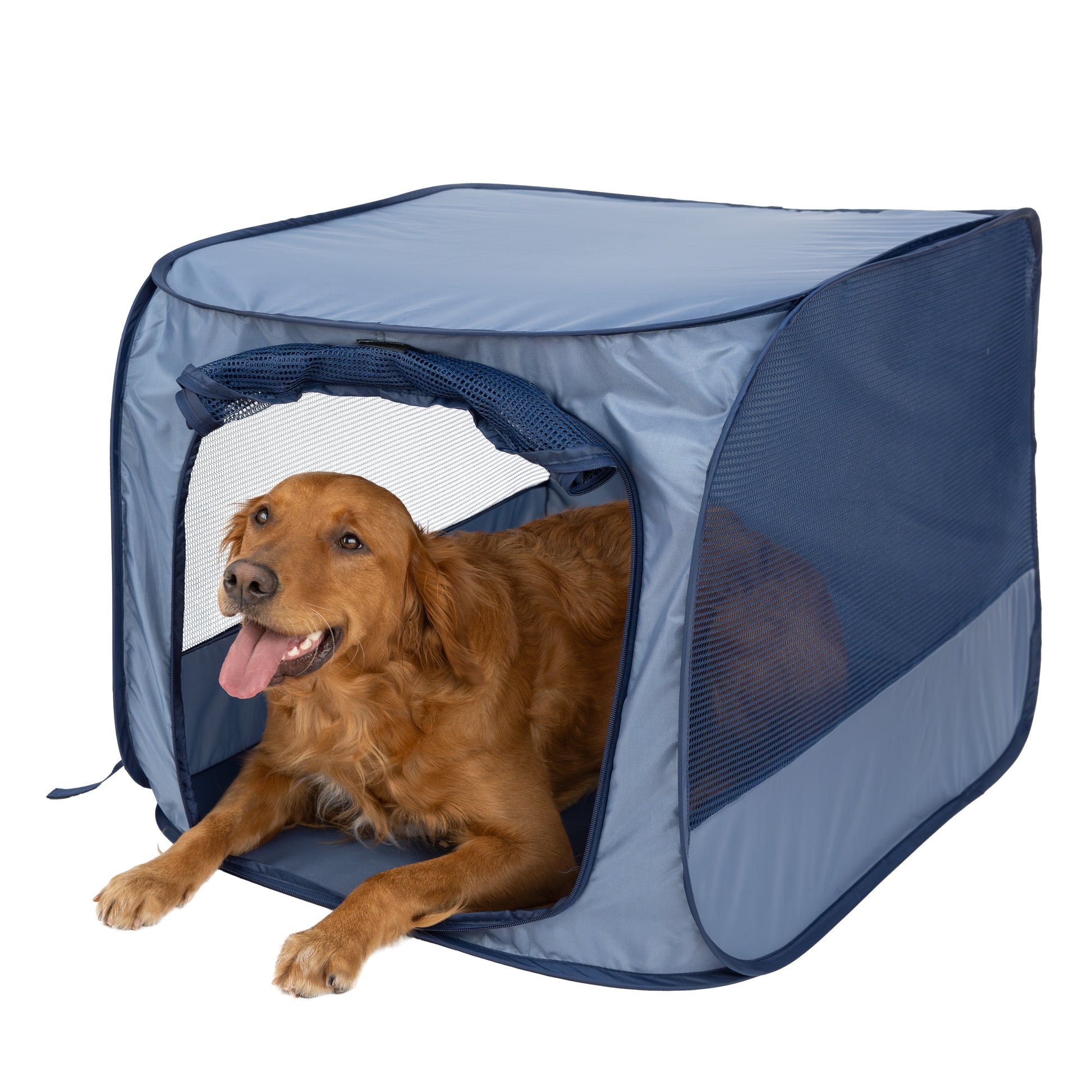 Soft-Sided Pop Open Dog Kennel, Blue, Large